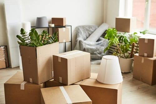About Acosta Moving Service